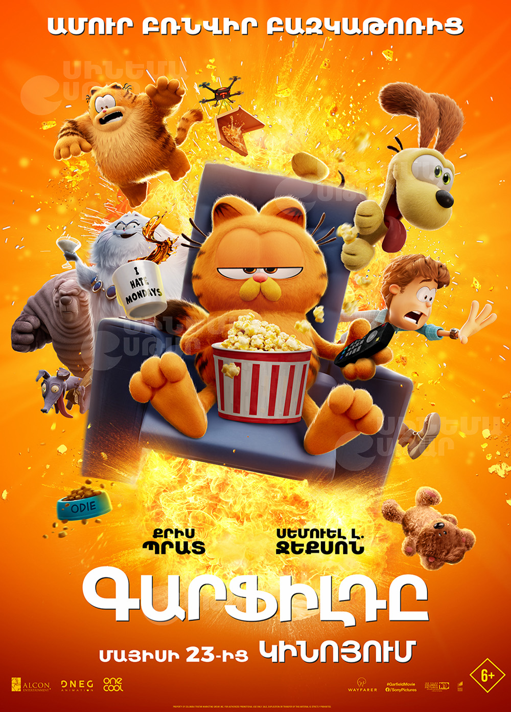 THE GARFIELD