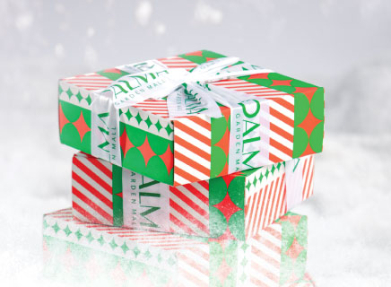 DALMA GIFT BOX. We’ve prepared it. You gift it.