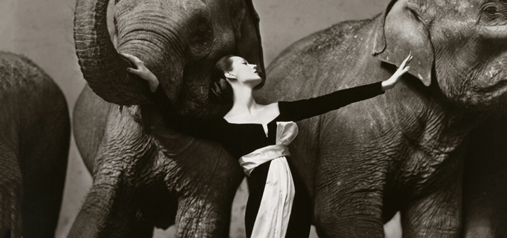 DOVIMA WITH ELEPHANTS: THE FRAME THAT CHANGED THE HISTORY OF FASHION PHOTOGRAPHY 