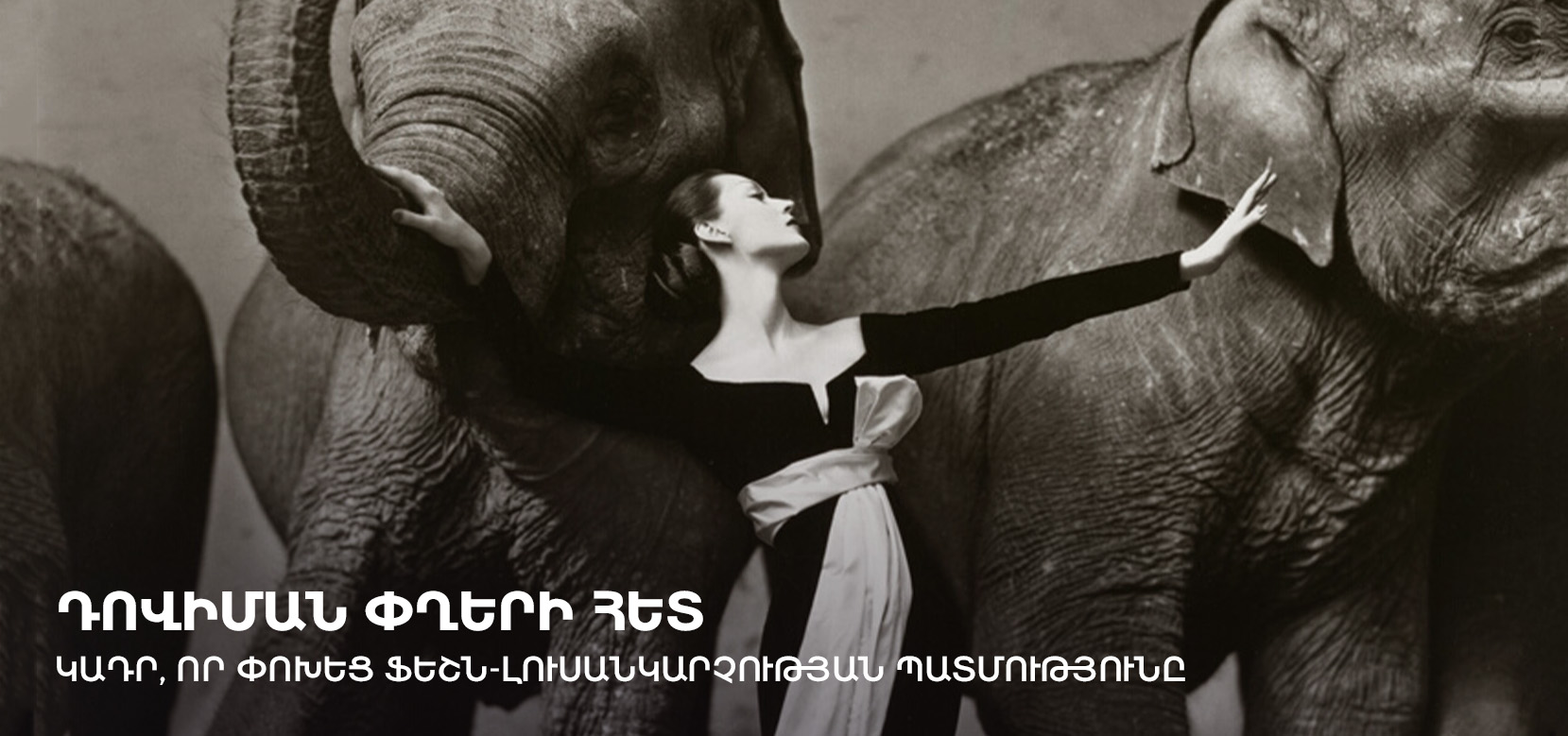 dovima with elephants evening dress by dior Richard Avedon