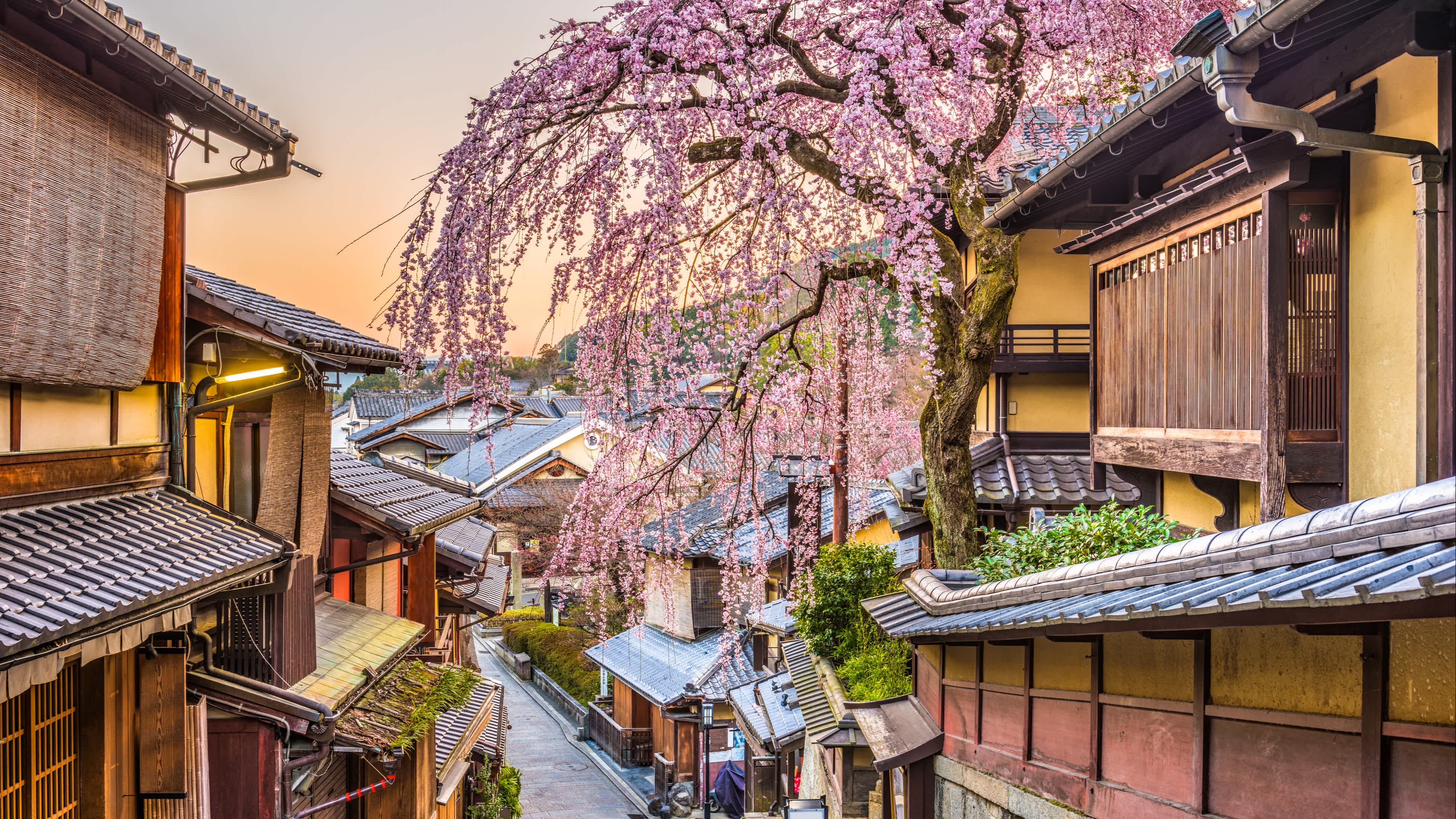4. Immerse Yourself in the Traditional Atmosphere of Kyoto.