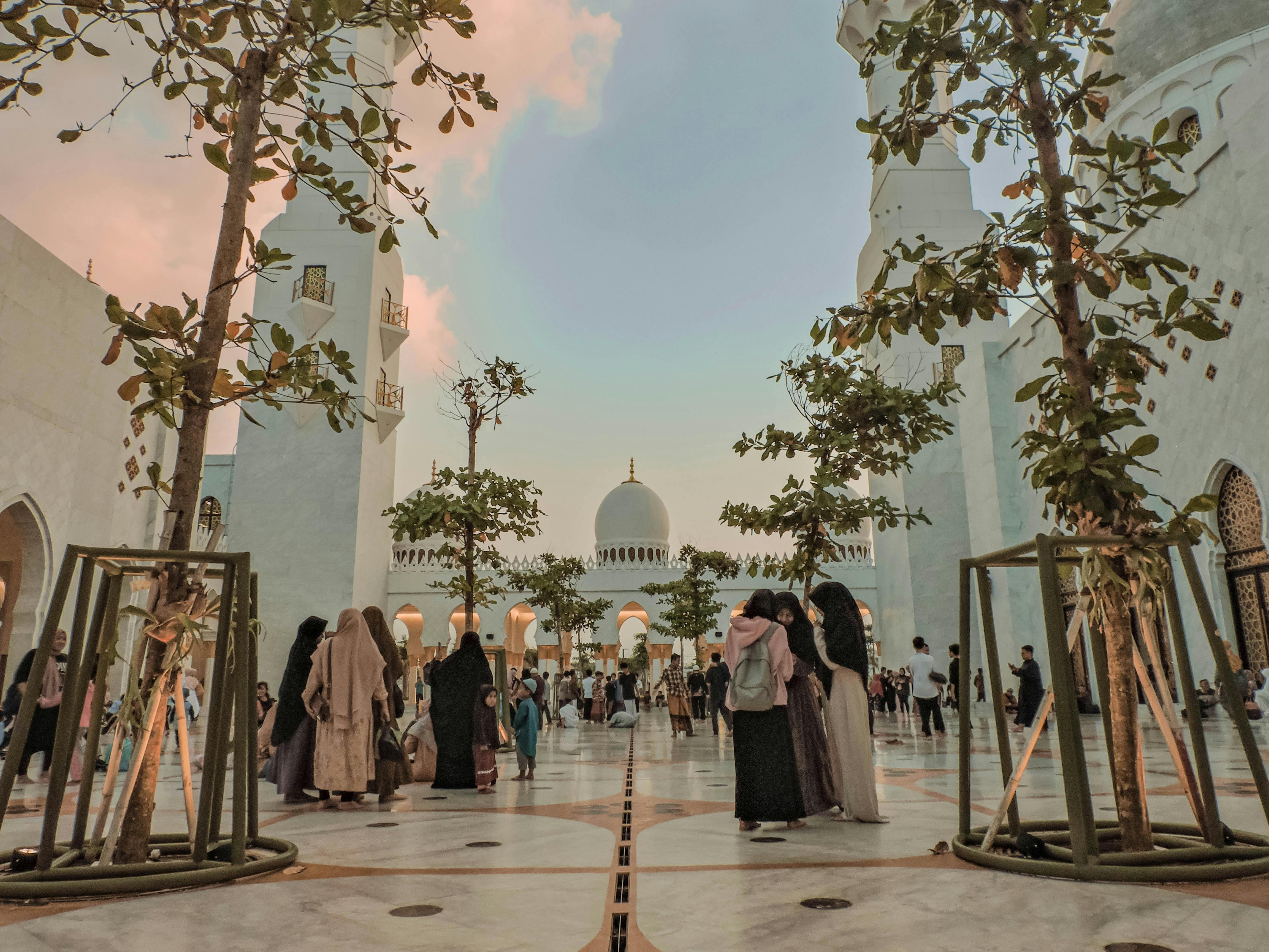 WHAT TO DO IN ABU DHABI