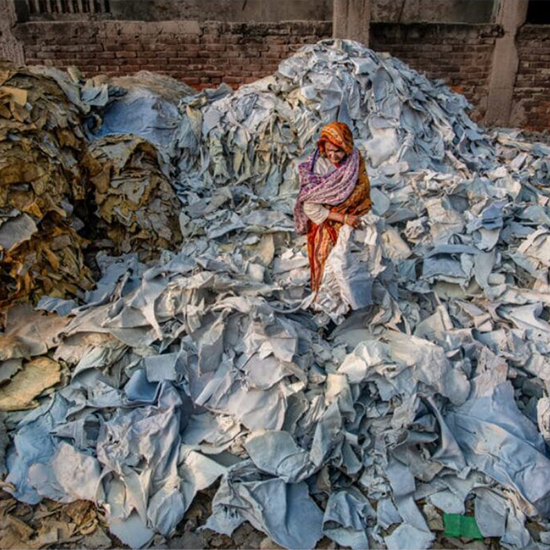 THE BEGGINING OF ECO-ACTIVISM