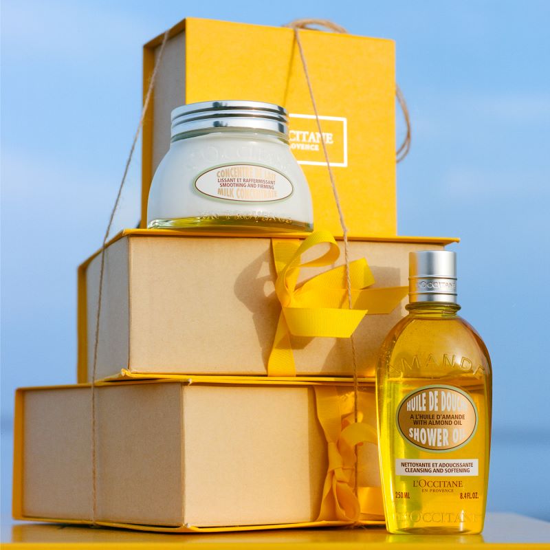 FROM DALMA TO PROVENCE 