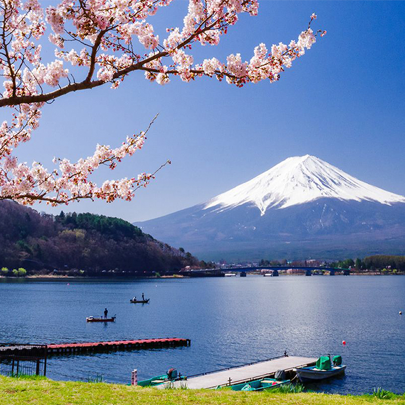 7. See Mount Fuji Up Close